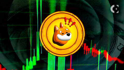 Coinbase Listing Sparks 40% Surge in BONK Price