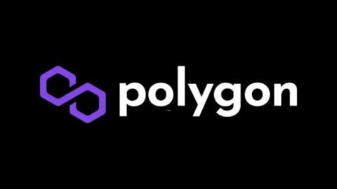 Polygon Network Sees Surge Amid Internal Strategy Talks