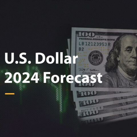 U.S. Dollar in 2024, Forecast: