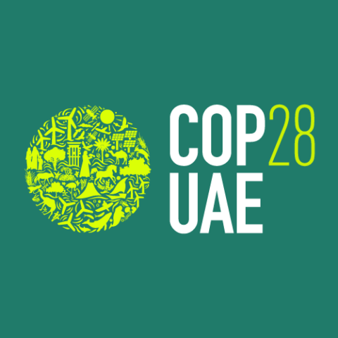 COP28 in Dubai: Financial Focus and Fossil Fuel Futures