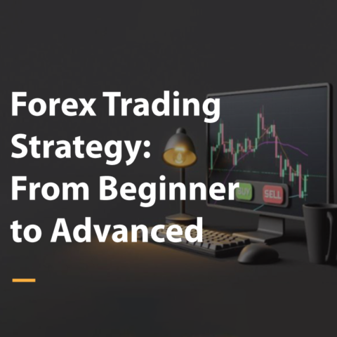 Forex Trading Strategy: From Beginner to Advanced
