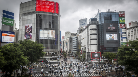 Japan's Corporate Capex Growth Points to GDP Rebound